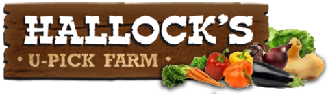 Hallocks U-Pick Farm