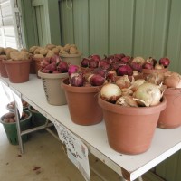 farm stand