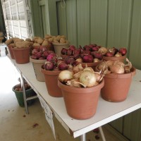 farm stand